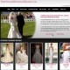 preownedweddingdresses-featured