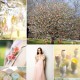 feature_thumb_spring_easter_wedding