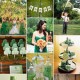 feature_thumb_st_patrick_day_wedding